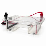 Gel Electrophoresis System